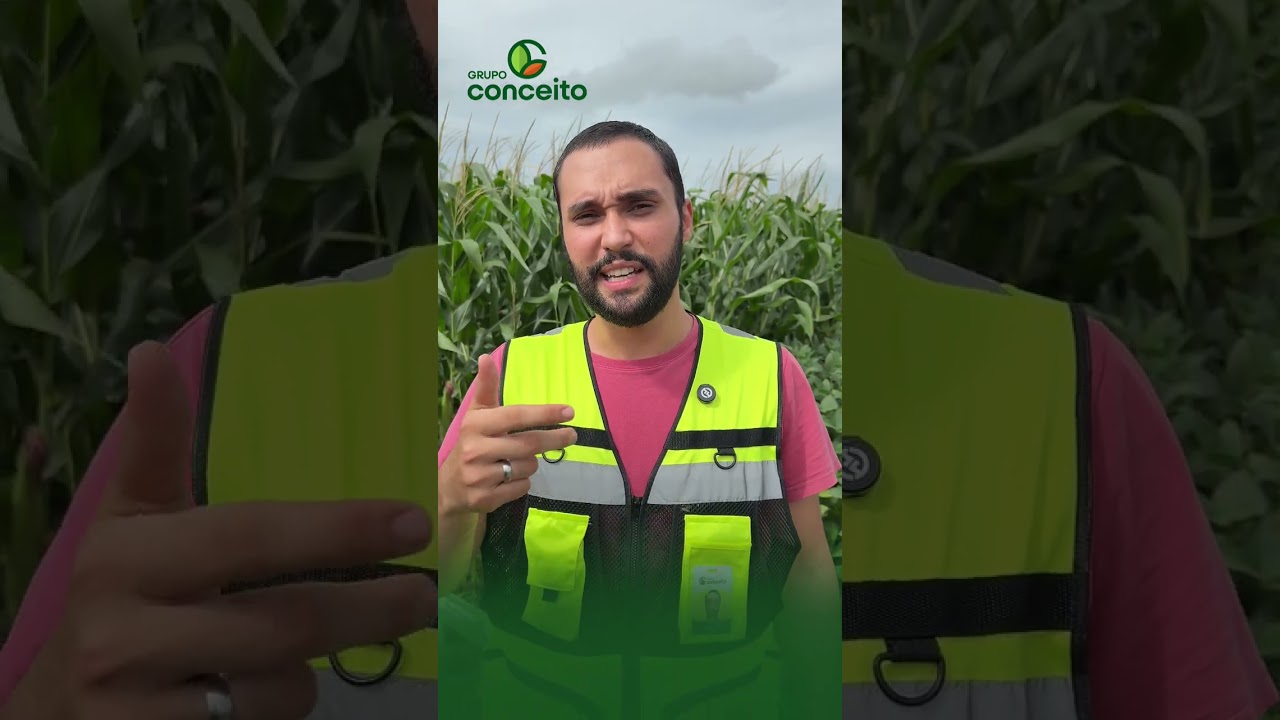 Quem trabalha seguro, planta e colhe com tranquilidade.