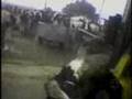 Undercover Video Shows Abuse Of Sick Cows