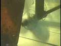 Prop Protector Protects Against Propeller Fouling