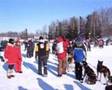 2007 Iditarod - Robert Sørlie summarizes (Part 3)