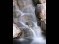 videos de asala nasri unknown name...