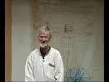 LifeForce - Bliss - StarNavigating - GravityLightDonuts - 5