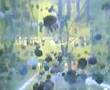 水母動画11