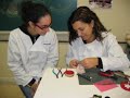 CURSO DE ESPECIALIZACIÓN EN ORTODONCIA CURSO DE ESPECIALIZACIÓN EN ORTODONCIA