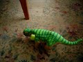 Pleo stole our dog's tennis ball!