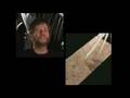 Dinosaurs: Ancient Fossils, New Discoveries