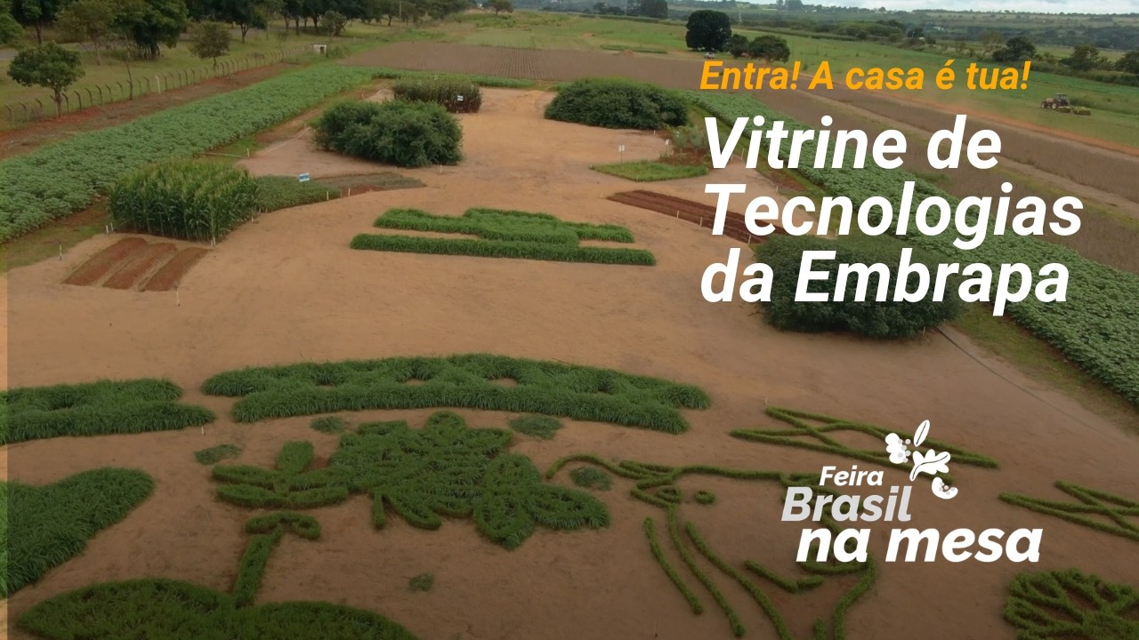 7) Vitrine - Feira Brasil na Mesa