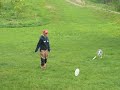 dog frisbee - border collie Beauty