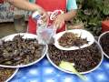 Gross Grub Thai Food Series: Shopping for Bugs Pt 3 -Wife eats cricket