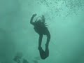 Ice Diving