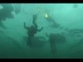 Ice Diving