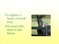Capture A Horse.wmv