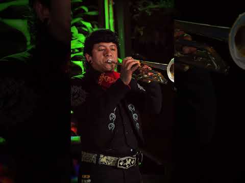 Video demostrativo de Mariachi Dinastia Dorada