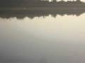 River Chanab Close look 30 Nov 2008 Pakistan