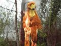 Goodbye JT productions Bear