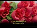 Solo Importas Tu - ? Musica Romantica ?