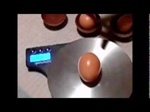 how to measure egg size