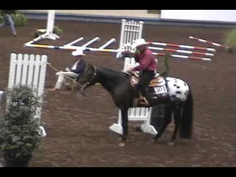 Zip Me Impressive 2003 World's Best ...