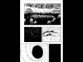 naruto shippuuden manga 394 naruto shippuuden manga 394