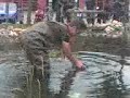 Daniels Ausflug bei den Fischen