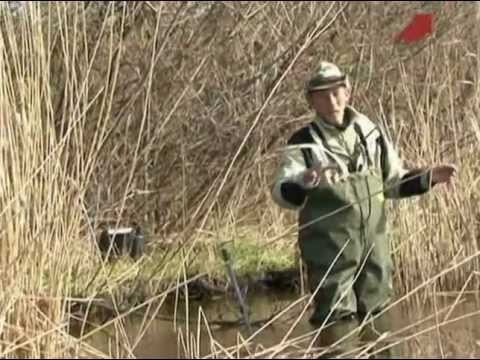 ловим хищника по весне видео ловим хищника по весне видео
