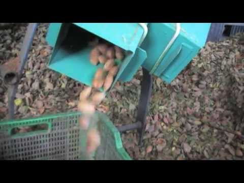 Peladora de almendras de sistema de rodillos especial almendra cáscara blanda