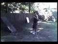 Awesome basket ball shots