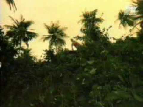 Tribe of Issachar - "Code Red"