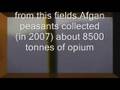 Fragment of Lithuanian Documentary about Narcotics (English subs)