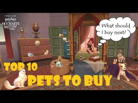HOGWARTS MYSTERY // BEST PETS TO BUY