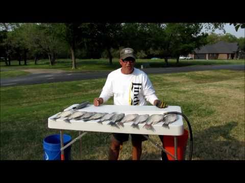 Topwater Bass fishing chug Bug