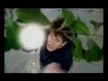 Catherine Wheel - Delicious