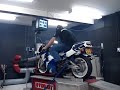 rgv 250 dynorun