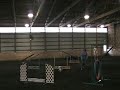AKC Standard Nov. 10, 2007