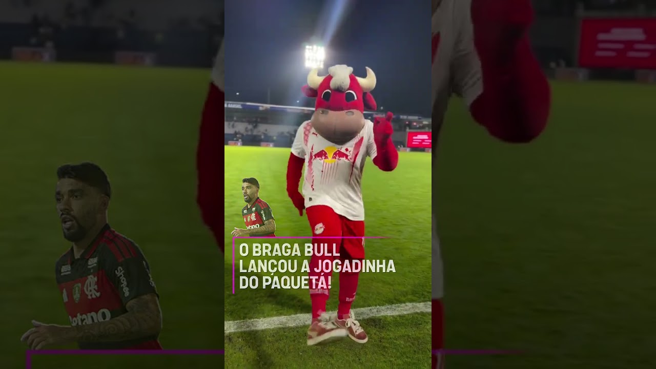 TOURO DO BRAGANTINO LANÇANDO O PASSINHO DO PAQUETÁ #shorts