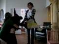 videos de The cousins dancing.