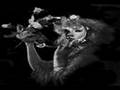 Stevie Nicks Speedsketch
