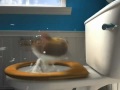 youtube - potty animal.mp4 youtube - potty animal.mp4