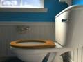 videos de youtube - potty animal.mp4