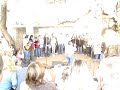 02 - Coro Ciencias Economicas 