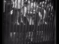Fascismo Cotidiano. Фашизм в день.Fascismo Ordinario. 9 de 14