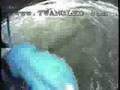 Whitewater-Rafting-t