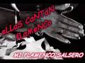 ELLAS CANTAN FLAMENCO MI FLAMENCO SALSERO