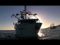 Ocean Cowboys