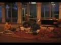 Carnatic-Pibare Rama Rasam_Yaman Kalyani