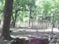  - MovieZen Video