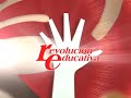 Reconocimiento