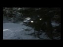 1000 Crash - part 11