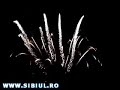Sibiu 2007 - Deschidere Oficiala Sibiu CCE 2007