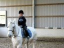 Benny trotting 2